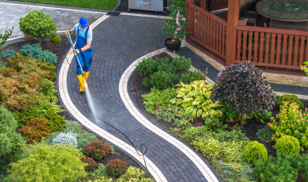 Best Local Pressure Washing Services  in Doylestown, OH