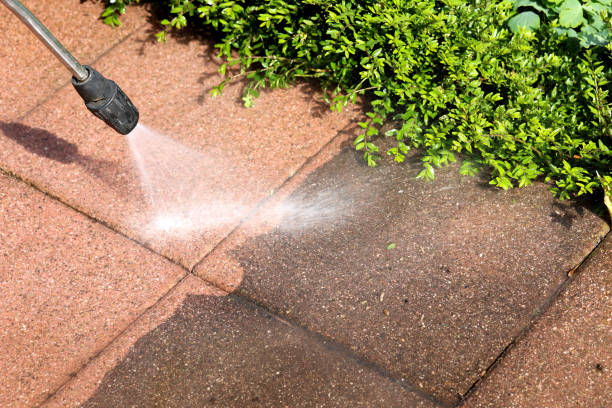 Roof Power Washing Services in Doylestown, OH